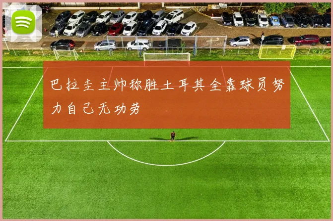 巴拉圭主帅称胜土耳其全靠球员努力自己无功劳